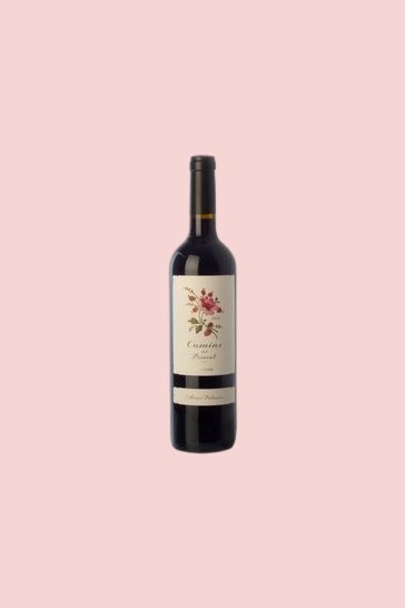 Vino rosso novello invecchiato Priorat Camins del Priorat 2013