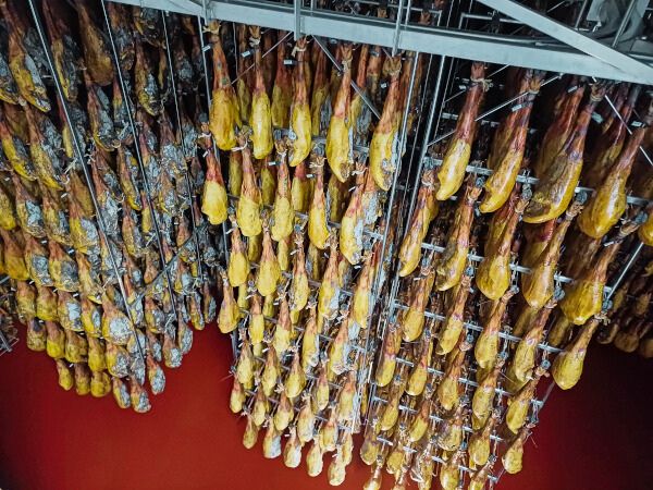 Prosciutti biologici in stagionatura nella cantina Domecq