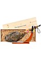 Confezione regalo di Natale con prosciutto spagnolo jamon iberico Aracena (ref. 12J01)