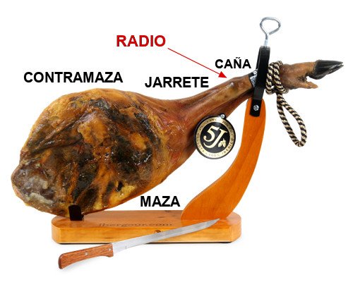 Parti di una paleta iberica