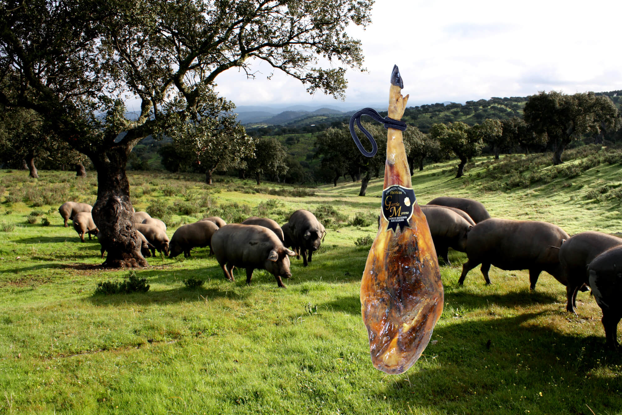 -20% Prosciutto GM e Hijos